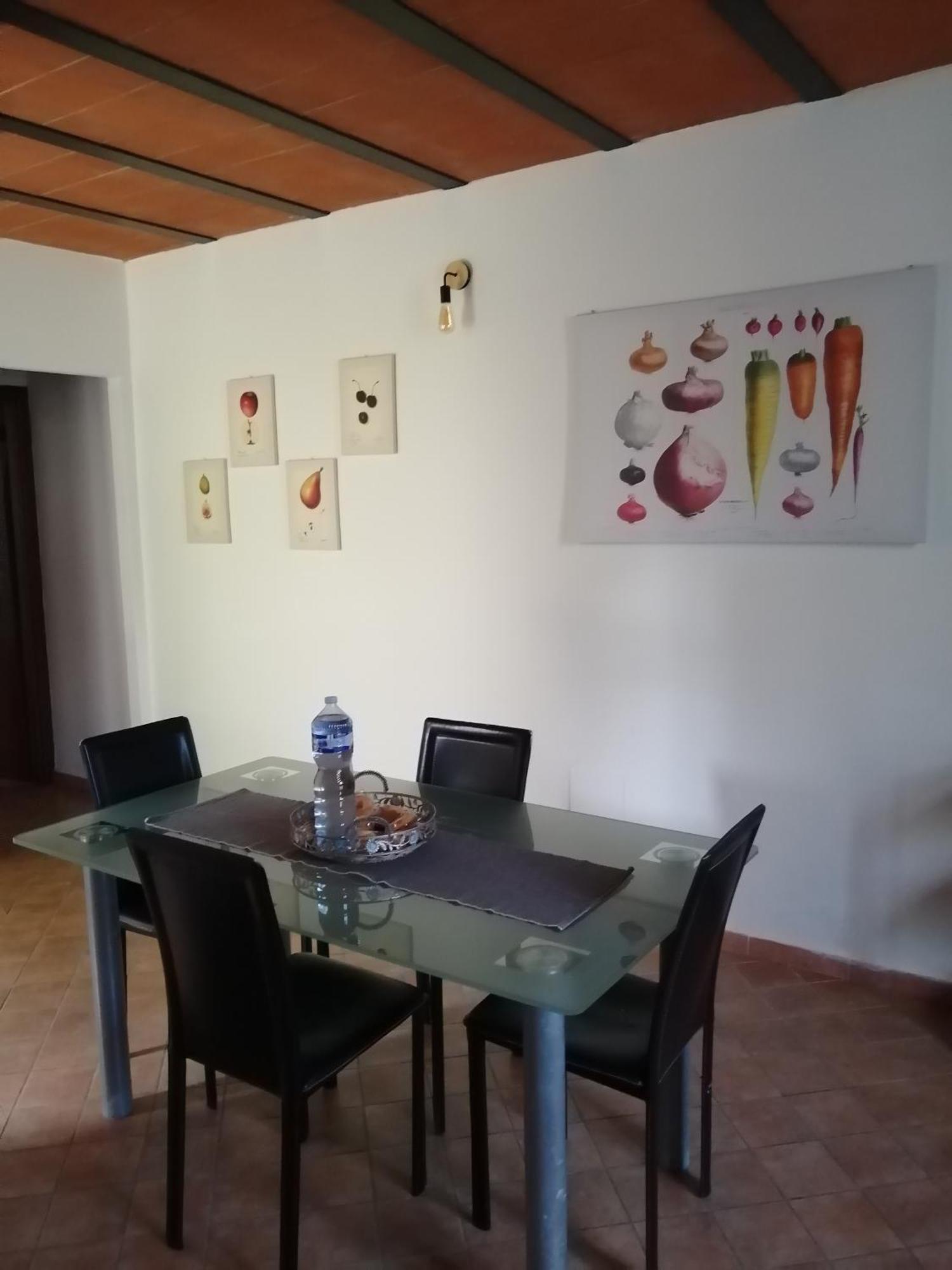 A Casa Mia Apartment Pisa Ngoại thất bức ảnh