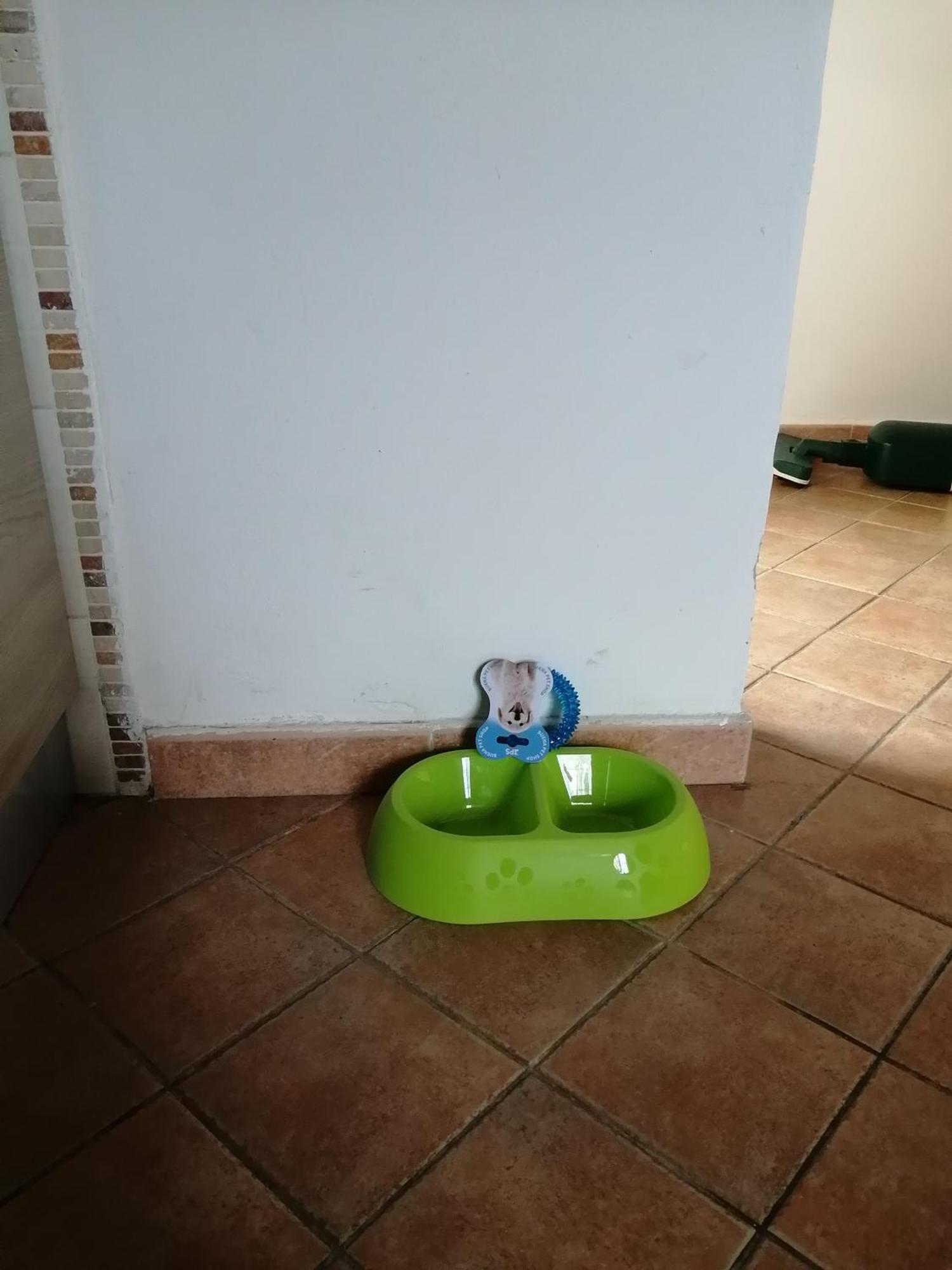 A Casa Mia Apartment Pisa Ngoại thất bức ảnh